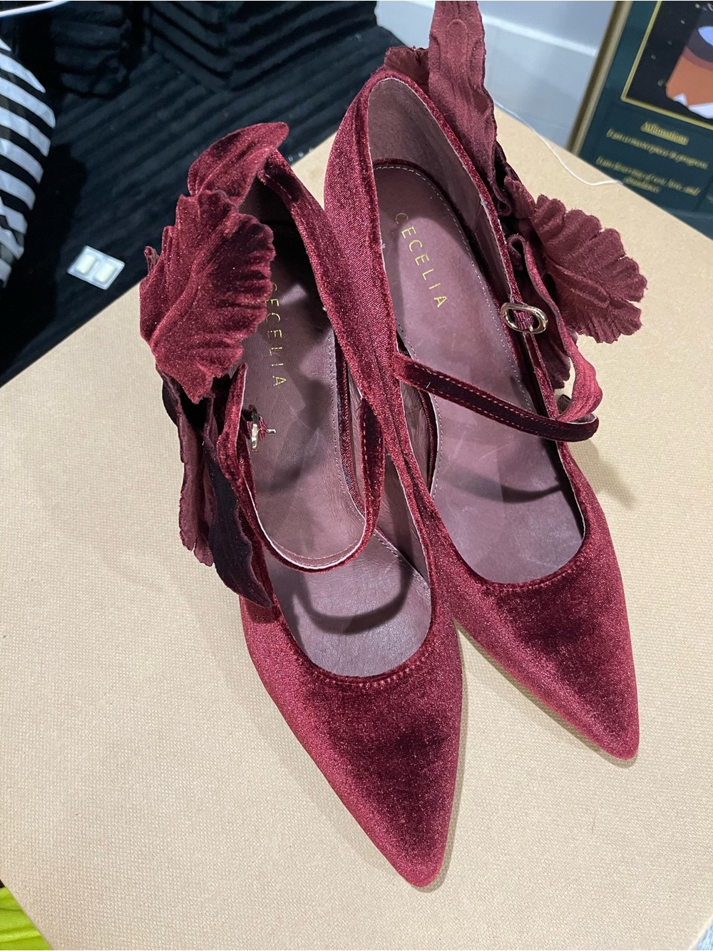 CECILIA NEW YORK Burgundy Velvet Pointed-Toe Mary Jane Pumps with Floral Accent